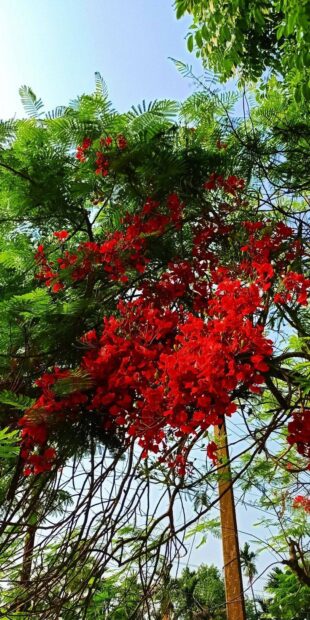 QUYẾT ĐỊNH CỦA TRƯỞNG CAO ĐẲNG CÔNG THƯƠNG VỀ VIỆC QUY ĐỊNH MỨC PHÍ NỘI TRÚ KTX NĂM HỌC 2026-2027